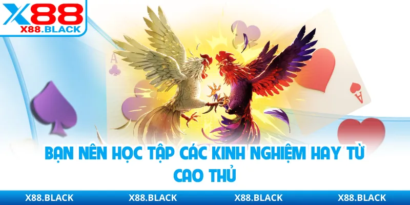 Bạn nên học tập các kinh nghiệm hay từ cao thủ