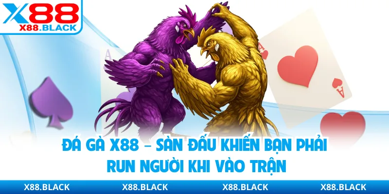 Đá gà X88 – Sàn Đấu Khiến Bạn Phải Run Người Khi Vào Trận