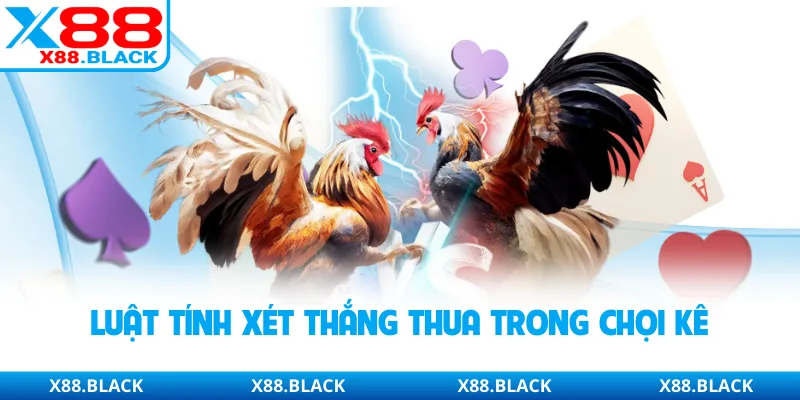 Luật tính xét thắng thua trong chọi kê